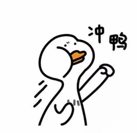 只做一只股的小老虎