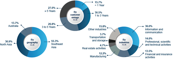 Split by geography, customer vintage, industries
