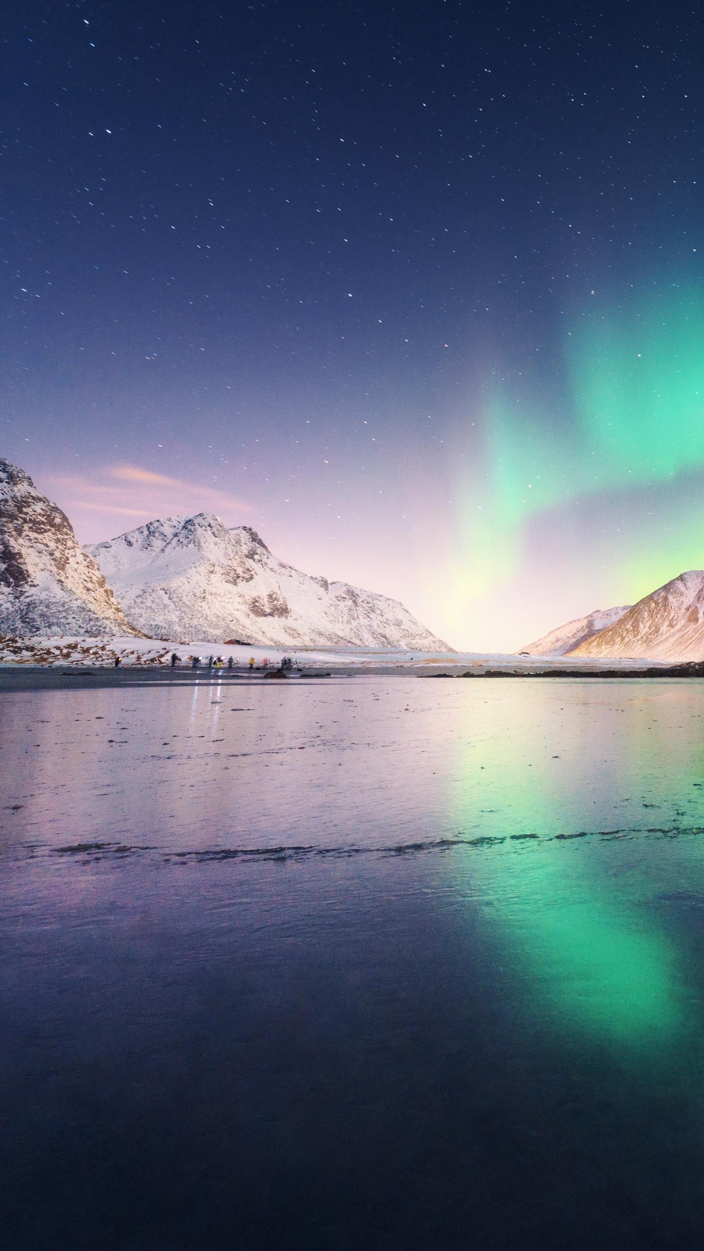 Joney时不利兮骓不逝