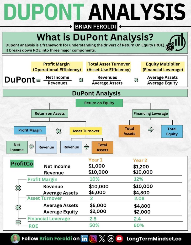  Dupont Analysis