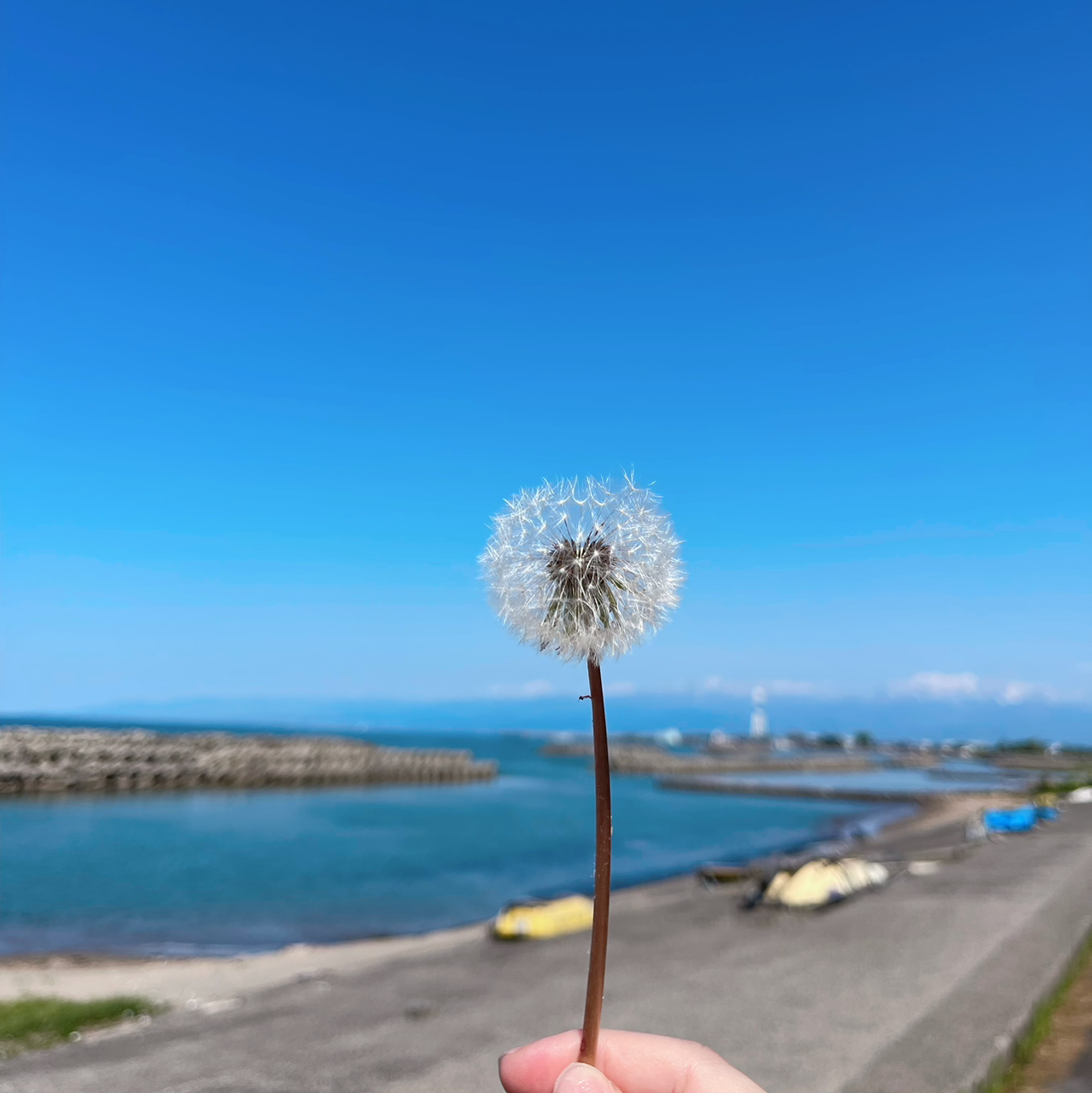 Midnightsummerdream6