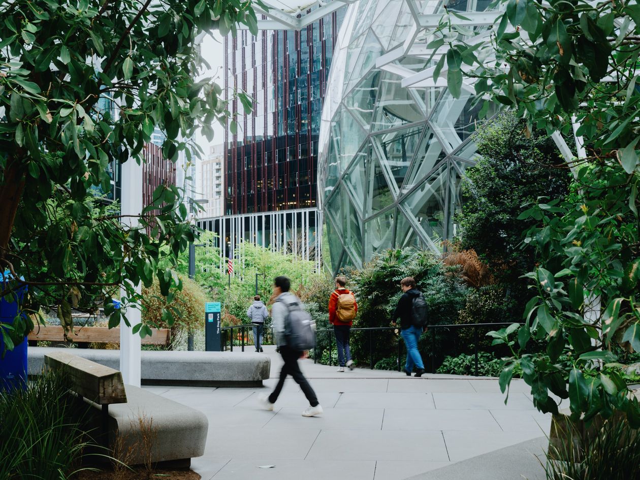 The operation, code named ‘Project Curiosity,’ was used to learn about rivals’ marketplaces and logistics operations.