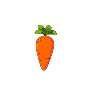 carrot1219