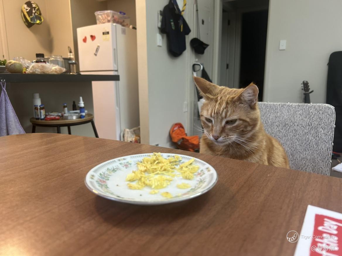 再赌剁手不打新