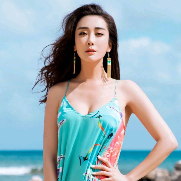 敢冒險的小老虎