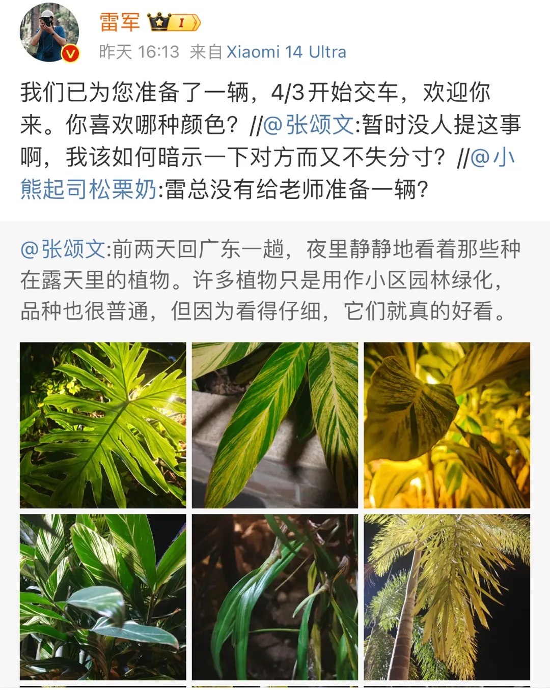 占道出片的景区商拍，逼疯多少普通游客？, image size:1080x1356