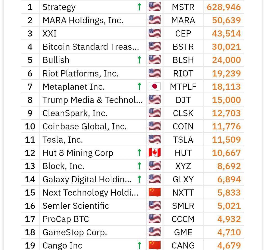 Bullish躋身比特幣儲備上市公司前五名，特斯拉跌出前十