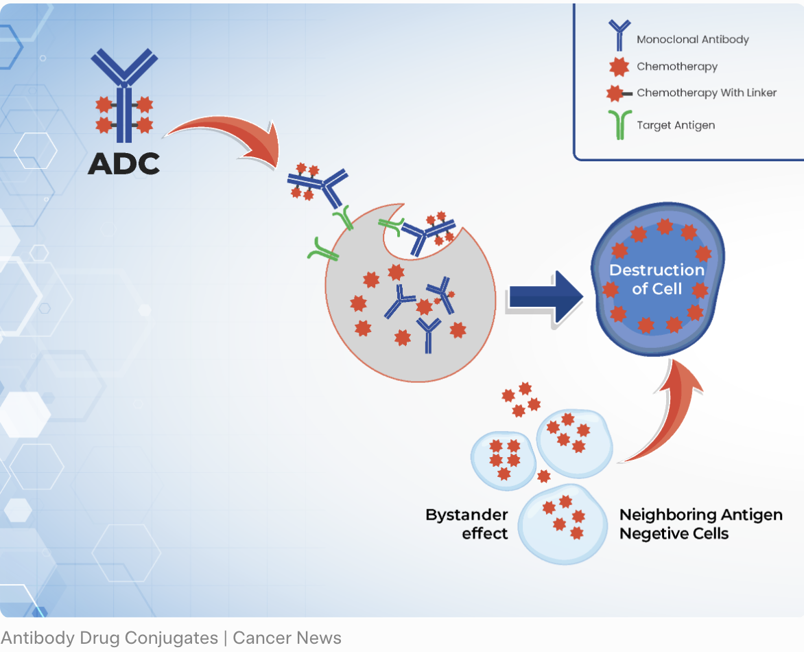 ADC作为「生物导弹」的机制示意图：Mo-rez由抗体、连接子与细胞毒素组成，精准靶向B7-H4高表达的癌细胞，释放payload杀伤肿瘤，同时降低脱靶毒性。
