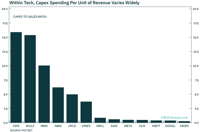 The six neocloud companies at the left of this chart have been “paying a lot for every dollar of revenue they are bringing in,” according to Noah Weisberger, chief strategist at BCA Research. BAC Research