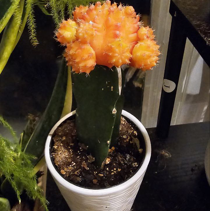 我的一亩三分地