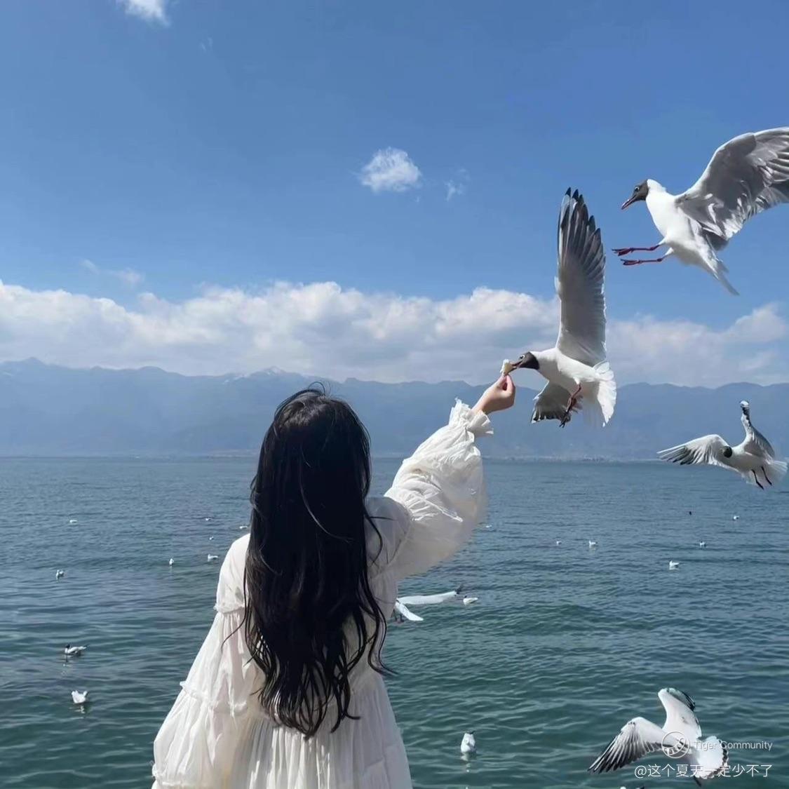 这个夏天一定少不了