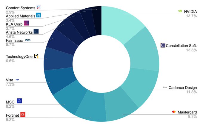 A pie chart displaying portfolio allocation among various companies. Sectors include NVIDIA at 13.7%, Cadence Design at 11.8%, Mastercard at 9.8%, and others like Broadcom Systems, Applied Materials, KLA Corp, Arista Networks, Fair Isaac, TechnologyOne, Visa, and MSC at varying percentages. Company logos and percentage values are visible next to each segment.