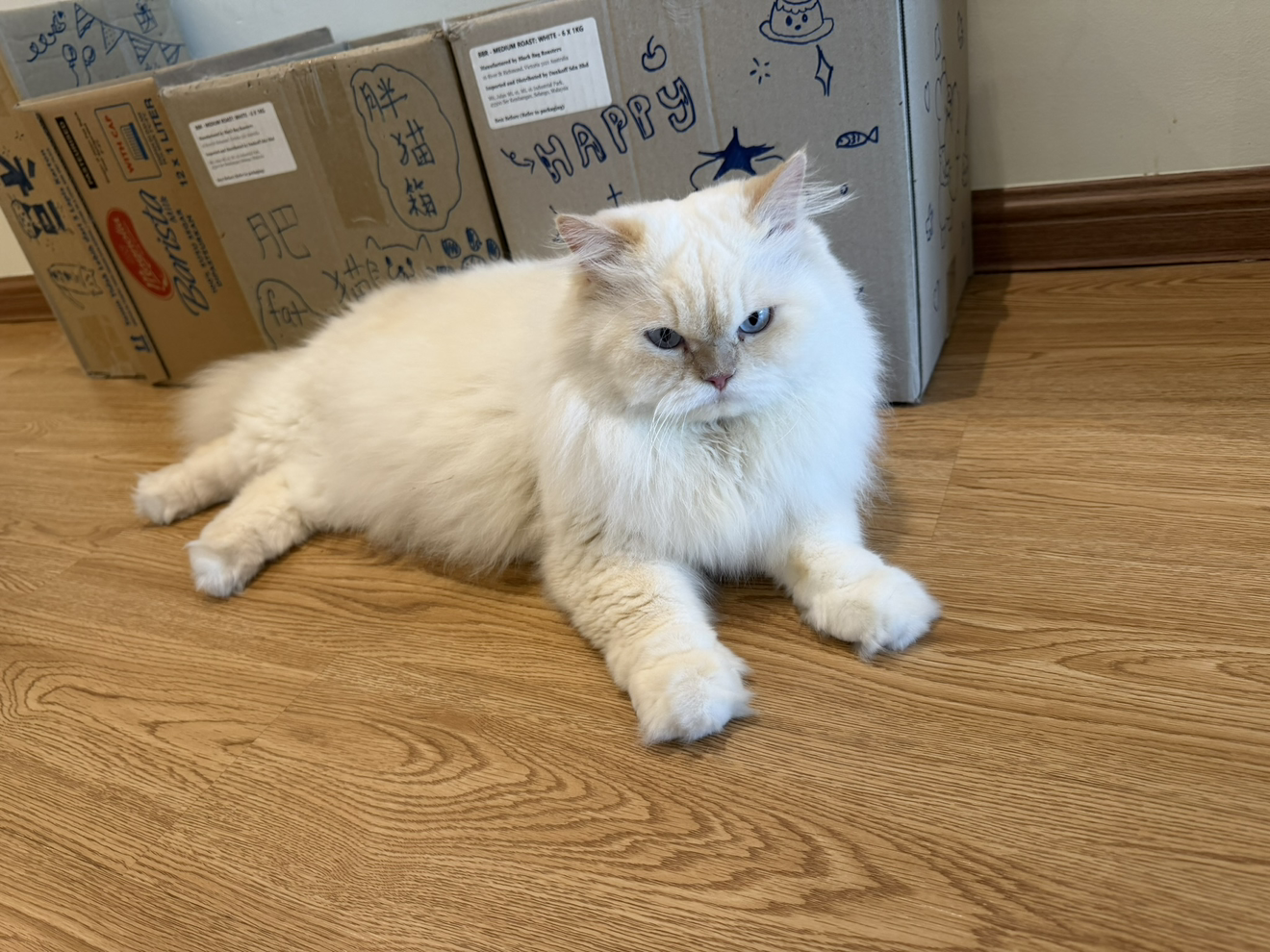 MarketCat