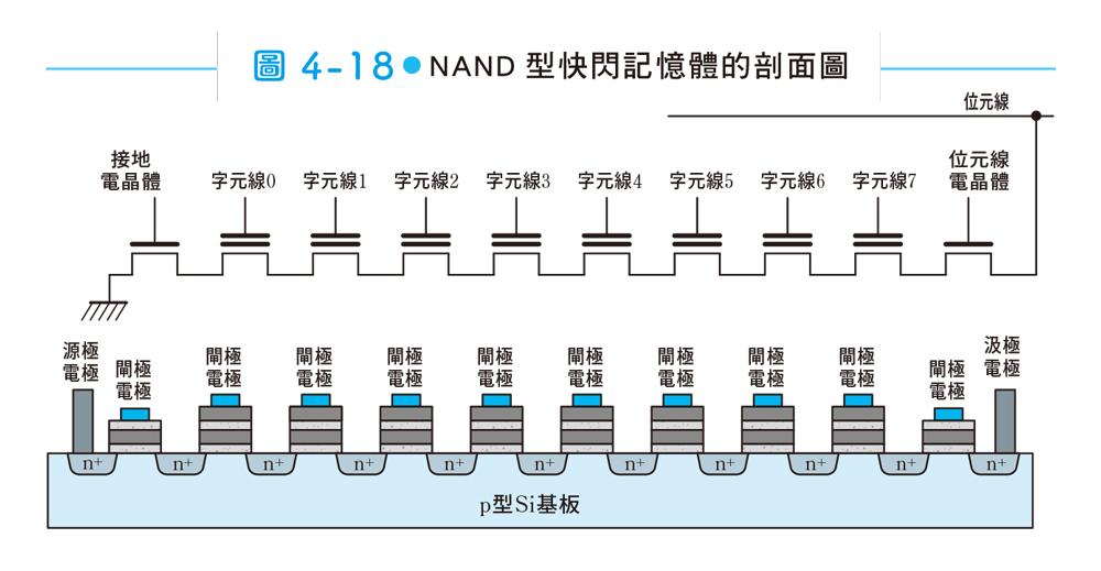 来源：泛科学