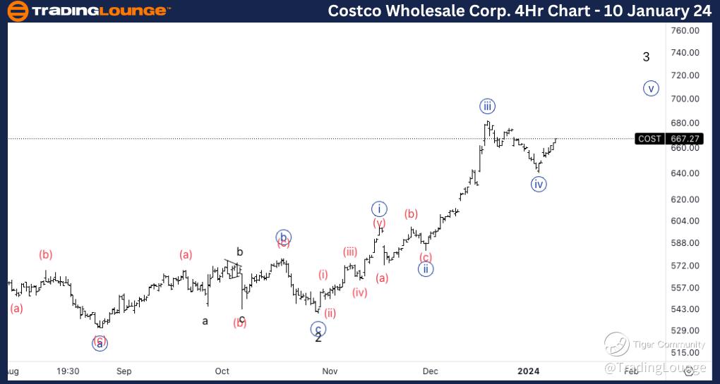 Costco Wholesale (COST): Company Profile, Stock Price, News, Rankings