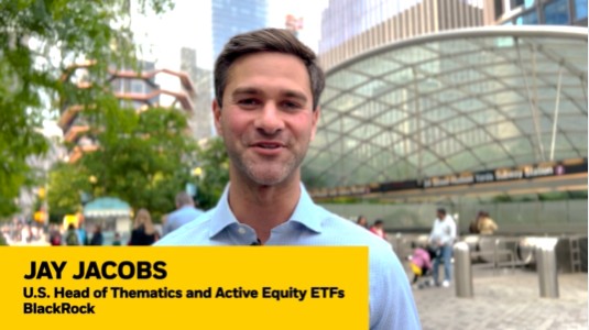 Jay Jacobs, CFA on LinkedIn: I love 'living the theme' – seeing and  experiencing how various structural…