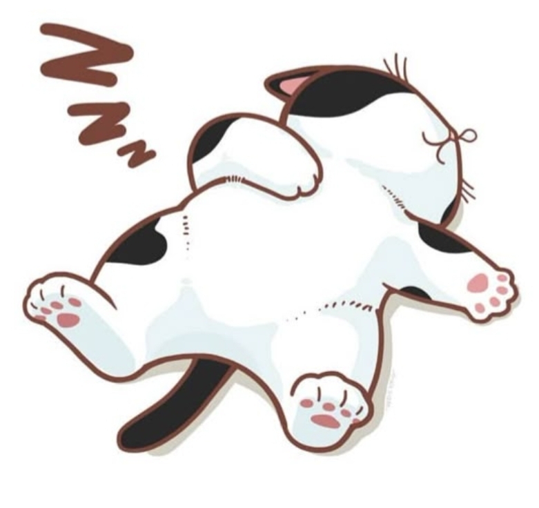 Porsche with no brakes