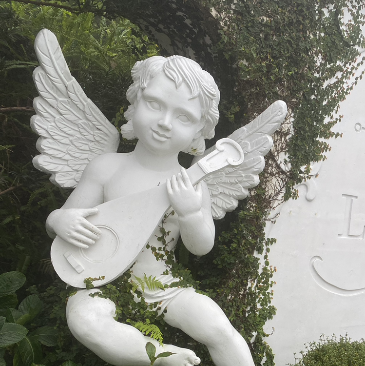 我是梦幻金钱战士