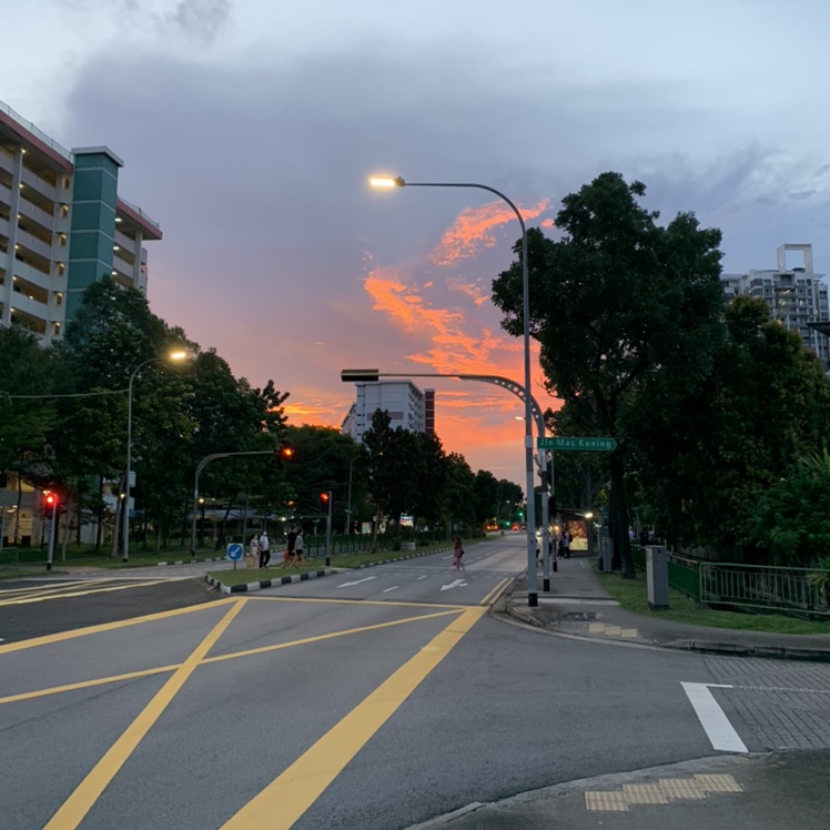 仰望星空的韭菜