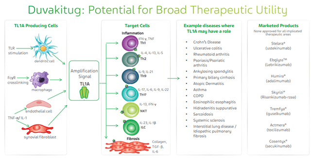 Description of Duvakitug