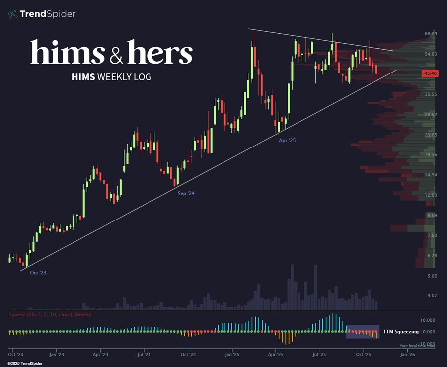 A dark-themed financial chart from TrendSpider displaying HIMS weekly logarithmic scale price action with green and red candlesticks forming an uptrend from October 2022 to present, a diagonal support trendline connecting lows, a recent price drop retesting the line near 14.50, volume bars at bottom in blue, and a small multi-timeframe squeeze indicator panel below.