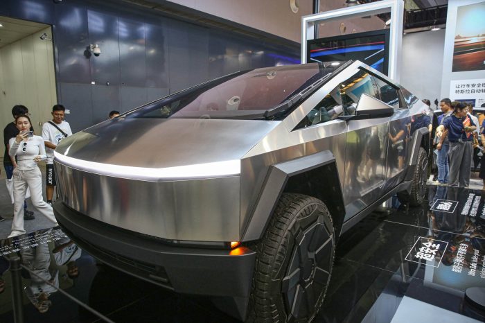 Individual investors have cut back on purchases of the Magnificent Seven group, which includes Tesla.