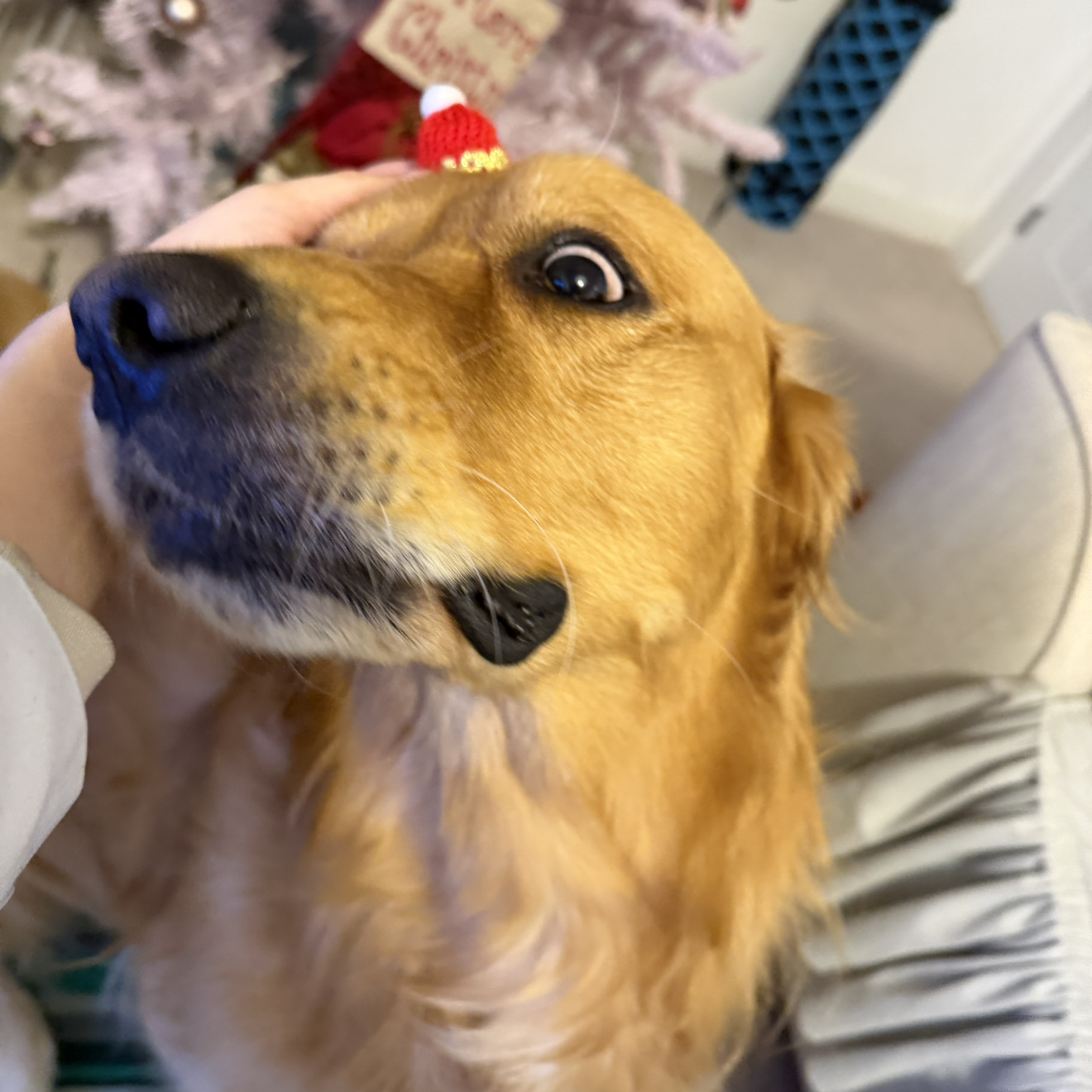 XXLLAOHU