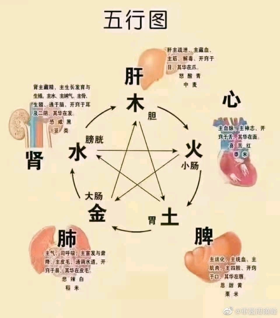 股法无边