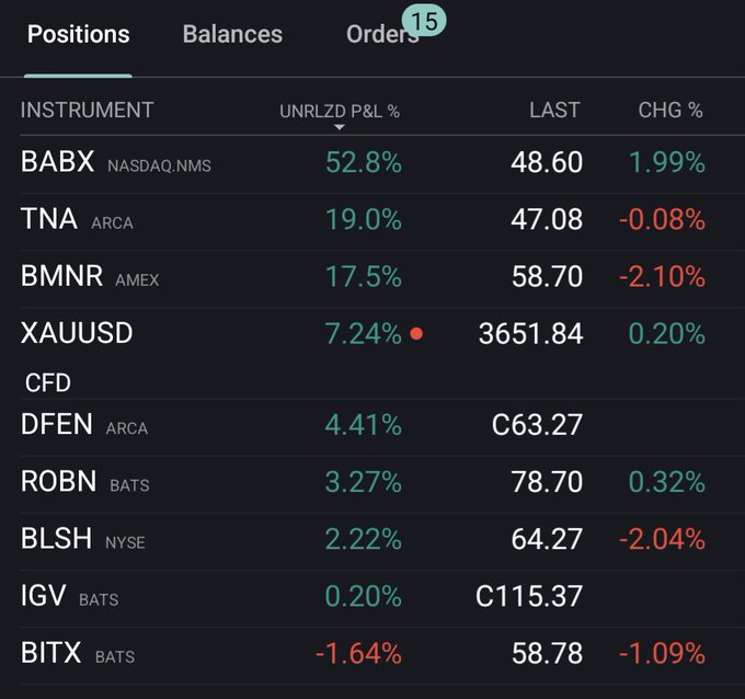 A dark-themed table displaying financial data. Columns include INSTRUMENT, UNRLZD P&L %, LAST, and CHG %. Rows list BABX NASDAQ NMS, TNA ARCA, BMNR AMEX, XAUUSD, CFD, DFEN ARCA, ROBN BATS, PINS NYSE, and BITX BATS with corresponding values for unrealized profit/loss percentages, last prices, and percentage changes.