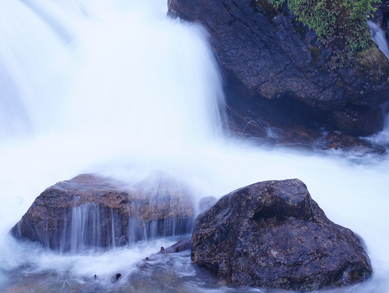 在股市纵横捭阖的王多鱼