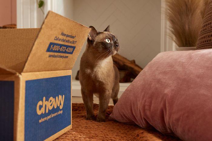 Chewy said its customers were becoming more selective but also more loyal. 