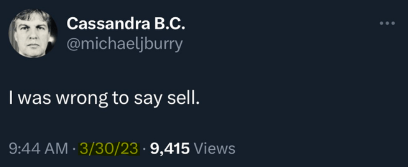 Twitter/X, The Michael Berry Files