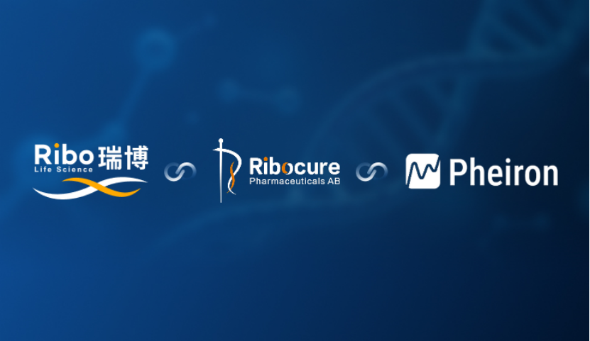 图源：公司官网