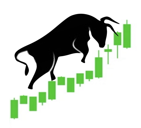 Old Bull Run 跑吧 老牛