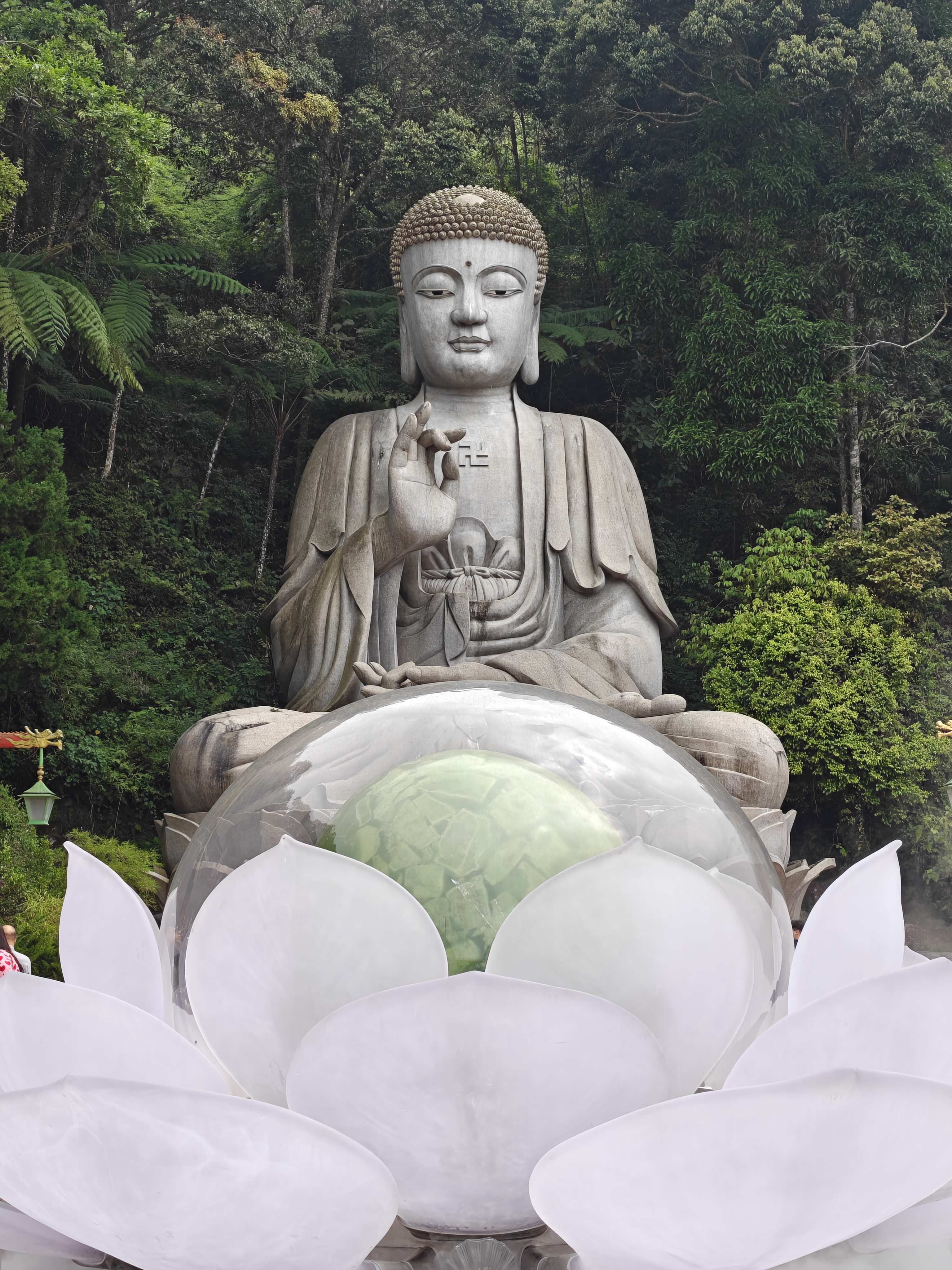 听风就是雨招人忌