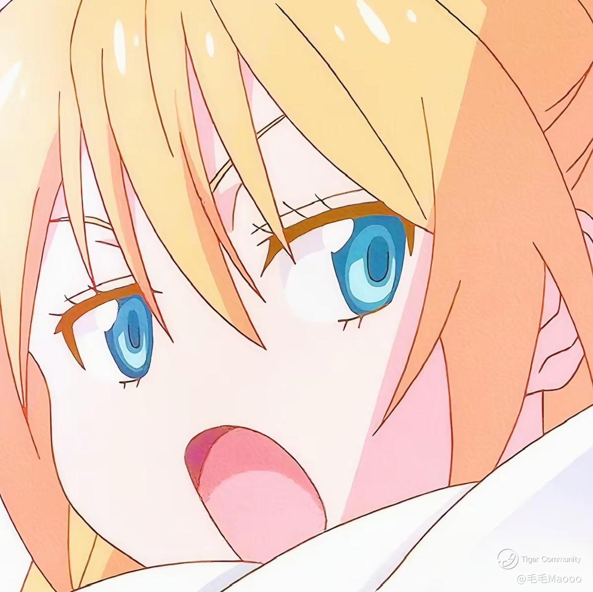 毛毛Maooo