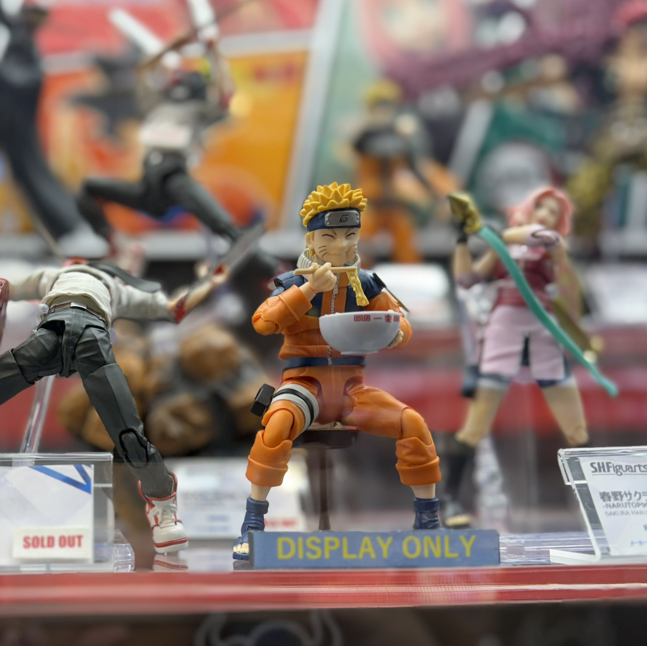 招财喵喵喵喵2025