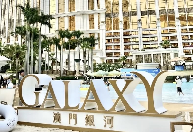 可能是包含下列内容的图片：文字