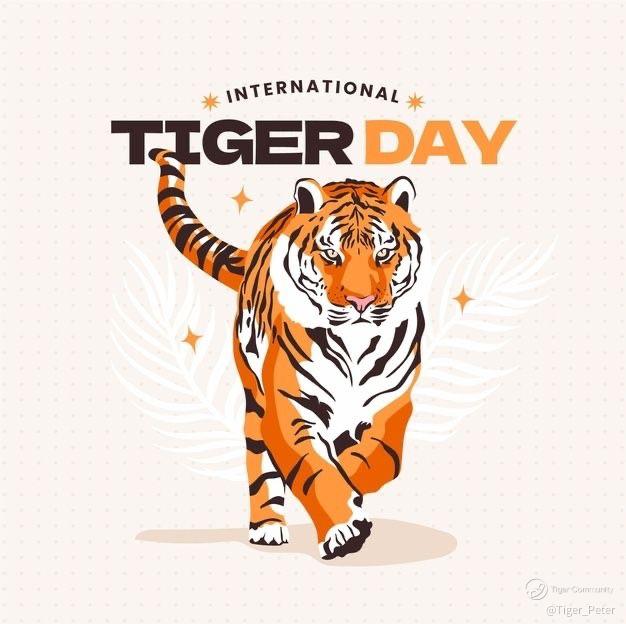 Tiger_Peter